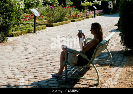 Park von Bercy, Paris Rive Gauche Nachbarschaft, Paris, Frankreich Stockfoto