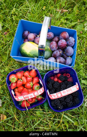 Frisch gepflückten Obst Pflaumen, Erdbeeren, Brombeeren, Himbeeren und ein Gemüse Kürbis, Gloucestershire Stockfoto