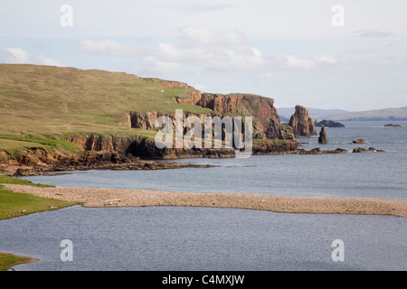 Braewick Shetland Inseln Schottland Looking to The Drongs aus rotem Sandstein-Meer-Stacks von Wellenkraft geschnitzt Stockfoto