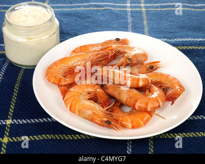 Gesund frisch gekochte Garnelen mit ihren Lagerschalen auf In eine Schüssel geben und mit Mayonnaise auf einem Tisch und keine Leute Stockfoto