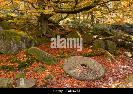 Einem verlassenen Mühlstein in Derbyshire Peak District mit dem Waldboden bedeckt im Herbst Blätter. Stockfoto