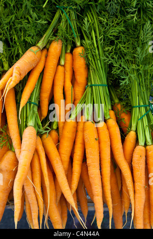 Frisch gepflückt Karotten zum Verkauf an Lebensmittel-Markt in La Reole in Bordeaux Region von Frankreich Stockfoto