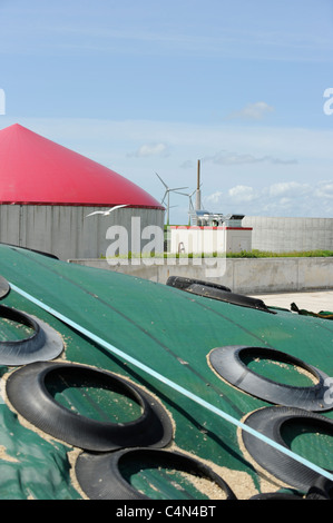 Deutschland-MT-Energie Biogasanlage eines Landwirts auf Nordsee Insel Nordstrand im Bundesland Schleswig-Holstein Stockfoto