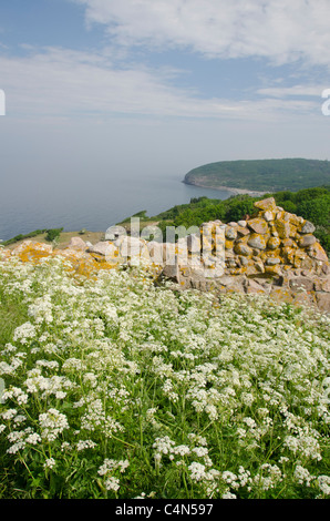 Dänemark, Insel Bornholm. Ostsee-Blick von Burg Hammershus. Ostsee-Blick von Burg. Stockfoto