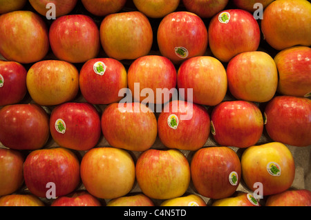 La Boqueria-Markt, Barcelona, Spanien Stockfoto