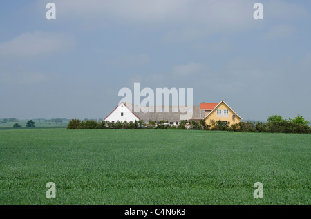 Dänemark, Insel Bornholm. Bauernhof Haus Blick auf die Landschaft in der Nähe von Port Ronne-Stadt. Stockfoto