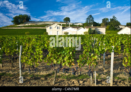 Chateau Pavie in St. Emilion im Bordeaux Weinregion Frankreichs Stockfoto