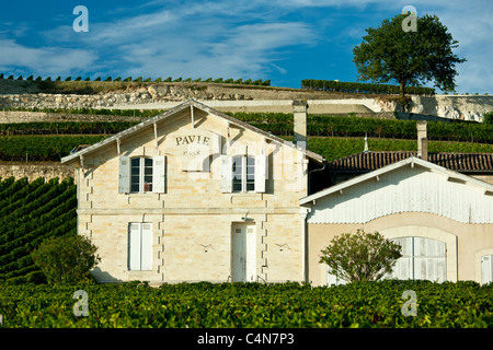 Chateau Pavie in St. Emilion im Bordeaux Weinregion Frankreichs Stockfoto