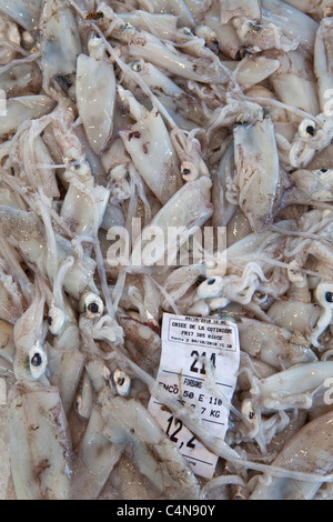 Frisch gefangenen Tintenfisch, Encornets Frais, zum Verkauf an Lebensmittelmarkt am Sauveterre-de-Guyenne, Bordeaux, Frankreich Stockfoto