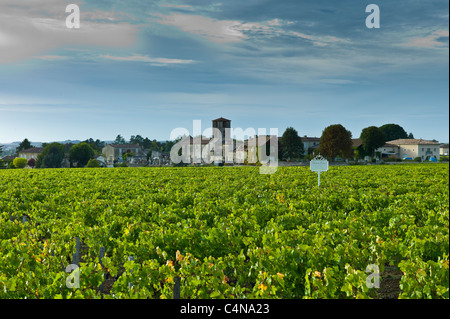 Chateau Canon Weinberg in St. Emilion, Bordeaux Region von Frankreich Stockfoto