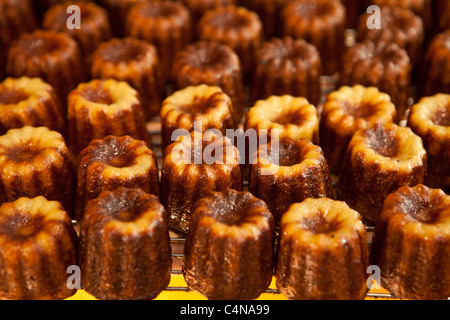 Lokale Spezialität, den Kuchen, Caneles, auf den Verkauf in Konditorei in St. Emilion, Bordeaux, Frankreich Stockfoto