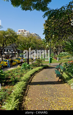 Jardim Municipal Gardens öffentlicher Parkgarten im Frühling Funchal Madeira Portugal EU Europa Stockfoto