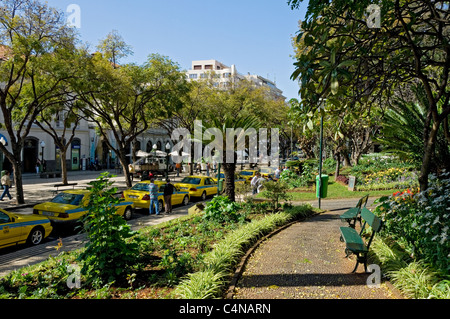 Jardim Municipal Gardens öffentlicher Parkgarten im Frühling Funchal Madeira Portugal EU Europa Stockfoto