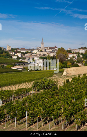 St. Emilion mit Weinberg von Georges Mouton Trauben im Vordergrund, im Bordeaux Weinregion Frankreichs Stockfoto