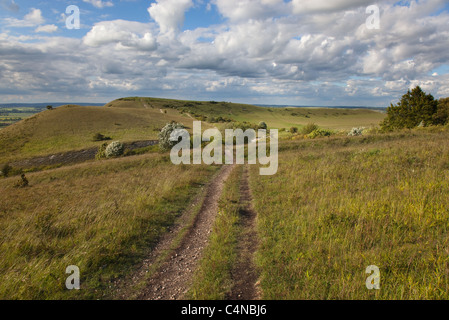 Die Ridgeway langen Abstand Weg bei Ivinghoe Beacon in der Chiltern Hills-Buckinghamshire Stockfoto