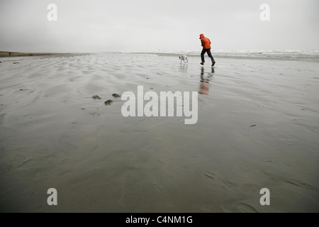 Mann mit Hund am Strand, Aberdeen, Washington läuft Stockfoto