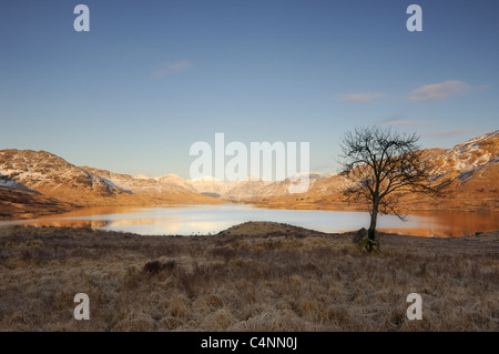 Sonnenaufgang am Loch Arklet, Schottland Stockfoto