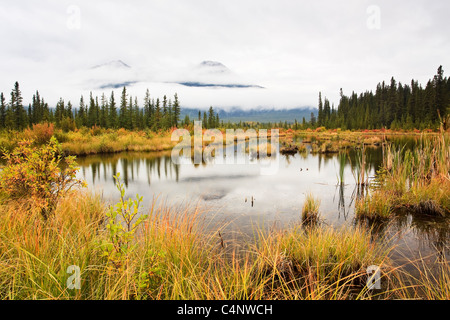 Herbstfärbung der Vermillion Seen, Kaskade-Strecke in Wolke gehüllt.  Banff Nationalpark, Alberta, Kanada. Stockfoto