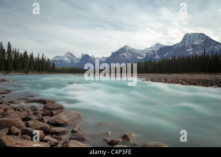 Der Athabasca River und den kanadischen Rocky Mountains, Jasper Nationalpark, Alberta, Kanada Stockfoto