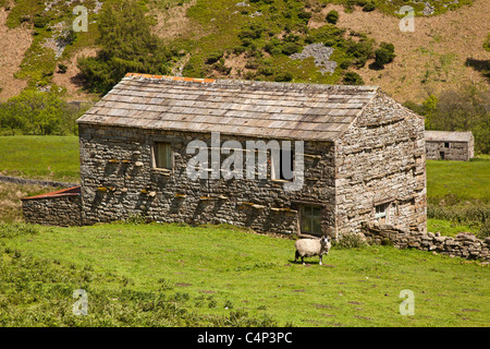 Stein-Scheune oberen Swaledale nahe Thwaite, Yorkshire Dales National Park Stockfoto
