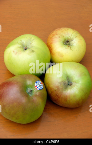 Bramley-Äpfel für das Kochen mit einem britischen Union Jack Logo-Schild Stockfoto