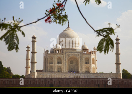 Taj Mahal, Agra, Uttar Pradesh, Indien Stockfoto