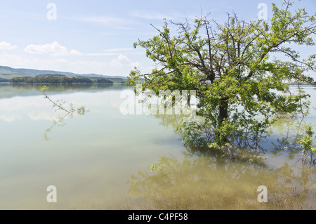 Lago San Giuliano Stausee in der Nähe von Matera, eine World Wildlife Fund "Oase" künstlichen aus ein kleiner Natursee. Stockfoto