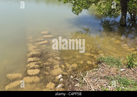 Lago San Giuliano Stausee in der Nähe von Matera, eine World Wildlife Fund "Oase" künstlichen aus ein kleiner Natursee. Unter Wasser bleibt. Stockfoto