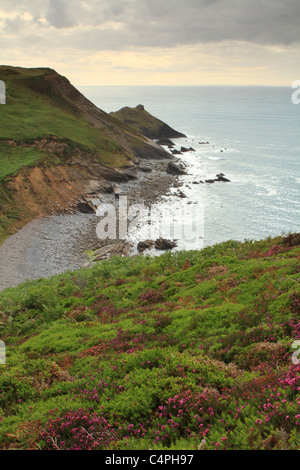 Millook Haven angesehen vom Küstenweg, North Cornwall, England, UK Stockfoto