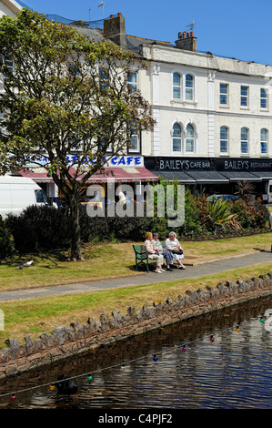 Dawlish Wasser auch bekannt als der Bach fließt durch die Stadt und geht direkt in das Meer Devon England uk Stockfoto