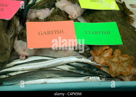 Fischhändler Sorten von Fischen auf Eis-Tabelle anzeigen Stockfoto