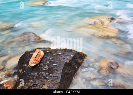 Stromschnellen am Fluss Yoho, Yoho Nationalpark, Britisch-Kolumbien, Kanada Stockfoto