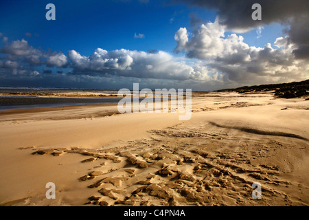 Schönen Morgen am Strand von Terschelling, Niederlande. Europa Stockfoto