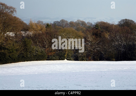 Schneebedeckte Felder Hecken und Bäume Winter durch einen Fußweg Alderley Edge Cheshire England Stockfoto