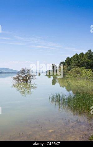 Lago San Giuliano Stausee in der Nähe von Matera, eine World Wildlife Fund "Oase" künstlichen aus ein kleiner Natursee. Stockfoto