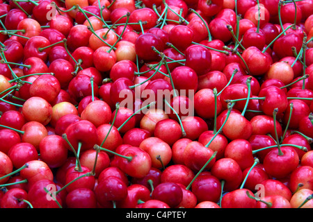 Süße Kirschen Stockfoto