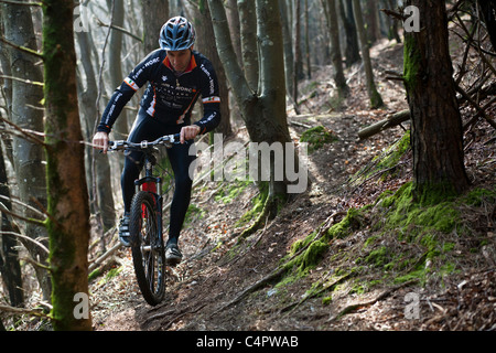 Irische Mountain Bike Champion Robin Seymour reitet auf einen Pfad durch einen Wald, County Wicklow, Irland Stockfoto