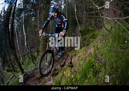 Irische Mountain Bike Champion Robin Seymour reitet auf einen Pfad durch einen Wald, County Wicklow, Irland Stockfoto