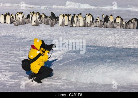 Touristen fotografieren Kaiserpinguine auf Eis, Snow Hill Island, Antarktis Stockfoto