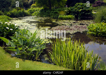 Die Beth Chatto Garten und Kinderzimmer, Elmstead Markt, Essex, England Stockfoto