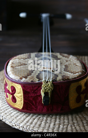 Nahaufnahme eines traditionellen japanischen Shamisen-Instruments Stockfoto