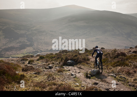 Irische Mountain Bike Champion Robin Seymour reitet auf einem felsigen Trailt, County Wicklow, Irland Stockfoto