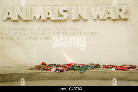 Detail der Tiere im War Memorial, Denkmal für Tiere starben im Krieg mit britischen und alliierten Truppen. Stockfoto