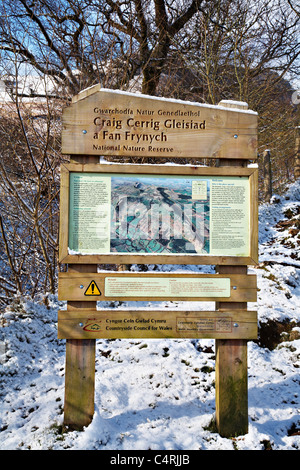 Melden Sie für Craig Cerrig-Gleisiad und Fan Frynych, Brecon Beacons National Park, Wales Stockfoto