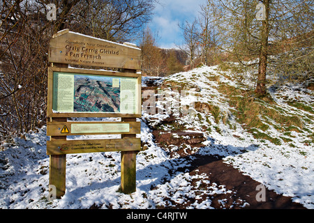 Melden Sie für Craig Cerrig-Gleisiad und Fan Frynych, Brecon Beacons National Park, Wales Stockfoto