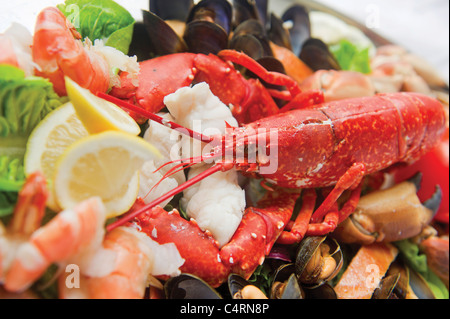 Meeresfrüchte-Platte Hummer Garnelen Garnelen Zitrone garnieren frische Stockfoto