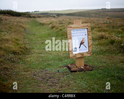 Corn Bunting Alarm Zeichen. RSPB Zeichen Achtung Wanderer vom Nistplätze in Nord Cornwall Stockfoto