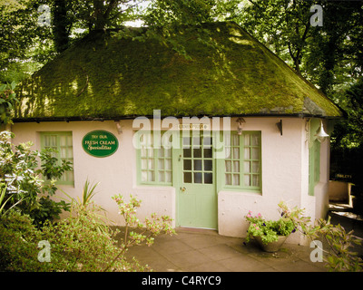 Damen Powder Room im Café am See in Keswick, Stockfoto