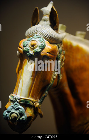 Tang Sancai Pferd Figur aus der Tang-Dynastie, Shaanxi History Museum, China. Stockfoto