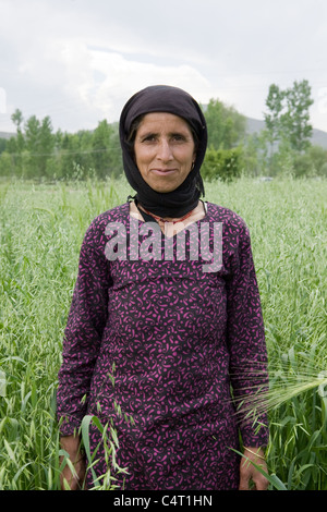 Kashmiri Frau in Wiesen in der Nähe von Manasbal See, im Bundesstaat Jammu & Kaschmir, Indien Stockfoto